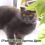 Аватара пользователя